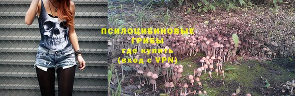 крисы Осинники