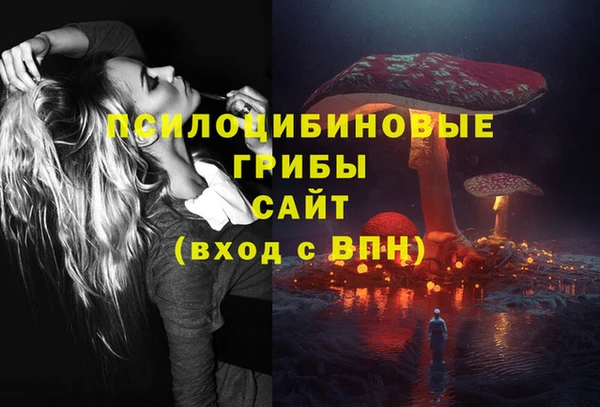 ALPHA-PVP Алексеевка