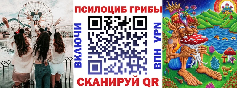 Псилоцибиновые грибы MAGIC MUSHROOMS  Купить  Жердевка 